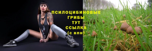 молекула духа Беломорск